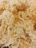 Unlock Your Weight Loss Potential: Embrace Gold Sea Moss in Your Healthy Journey!